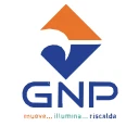 GNP